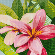 Кристальная ( алмазная) мозаика  " ФРЕЯ" ALVR- 239 " Цветы франжипани" 40 х 40 см